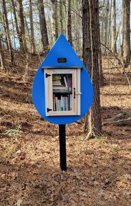 Free libraries make a neighborhood shine