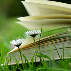 Have a spring book club on Go Beyond Book Club